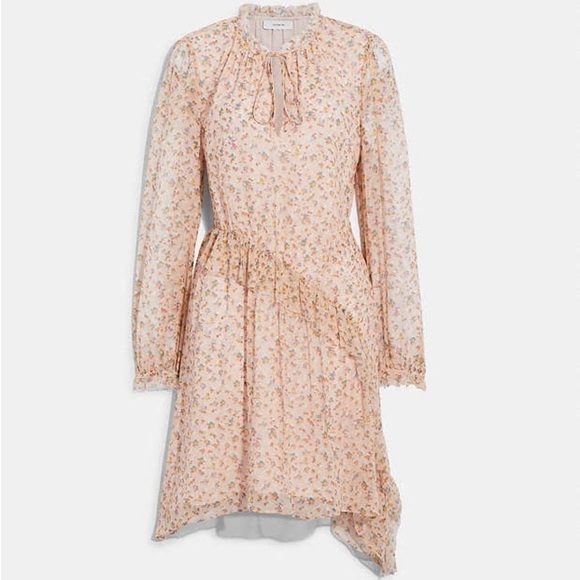 COACH 100% Silk Girly Romantic Boho Pink Short Day Dress Pale Size 6 NWT - Picture 2 of 16